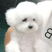 楚黎凉墨℡