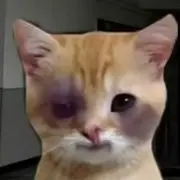 无忧。。