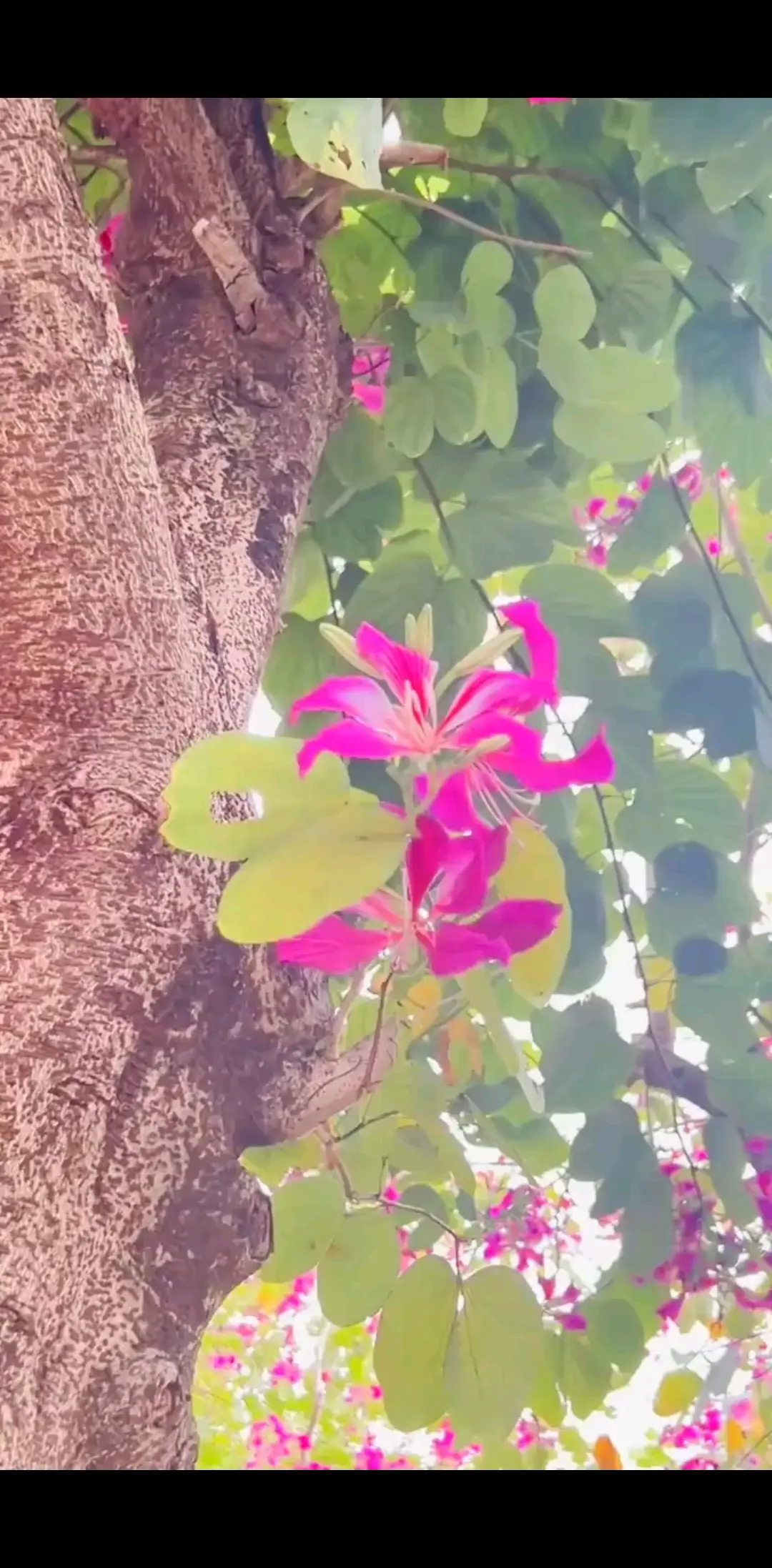 你在南方露着腰，我在