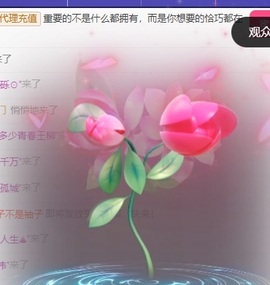 优雅菲🥑旺旺旺的图片