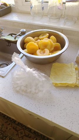 ღ娜娜ぃ安静唱歌🍀的图片