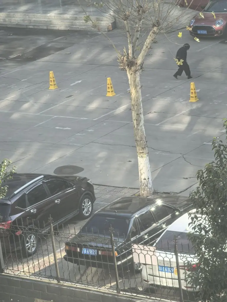 ◐快樂心狠2388◑主播图片