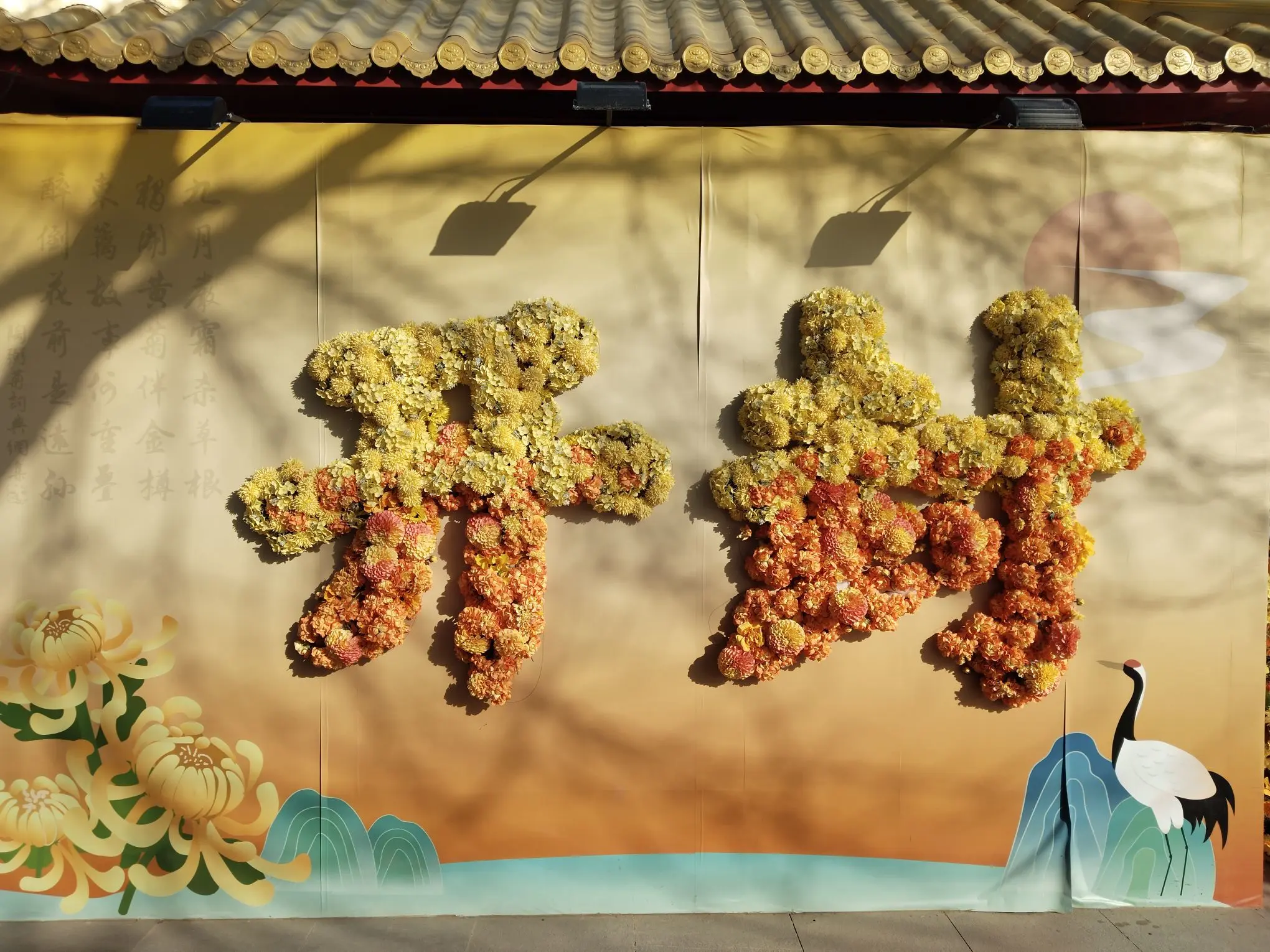 ♥80后老登❤️的主播照片