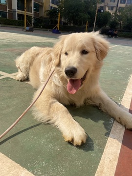 小可柔💜的图片