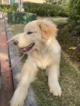 小可柔💜的图片