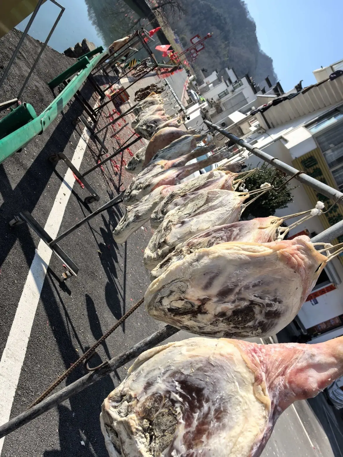安妮等你来点歌主播图片