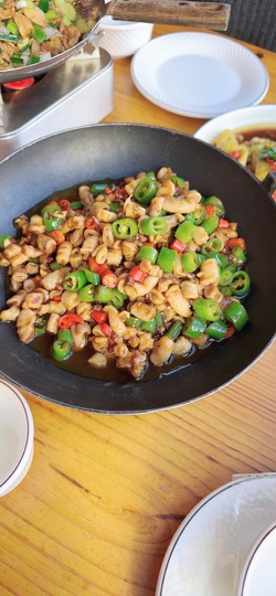 肉肉小娘子有事休息主播照片