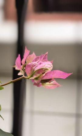 陈思郦🍀听经典的图片