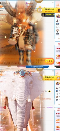 北家小黄黄🌈的图片
