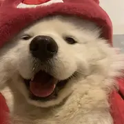 海绵宝宝🐾