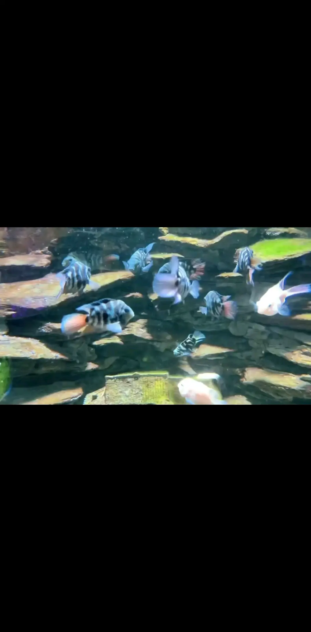 来海洋馆呀！
