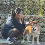 鱼跃❤️云间梦