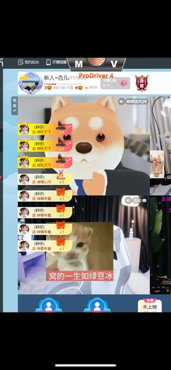 小肥杏~要饿鼠了的图片
