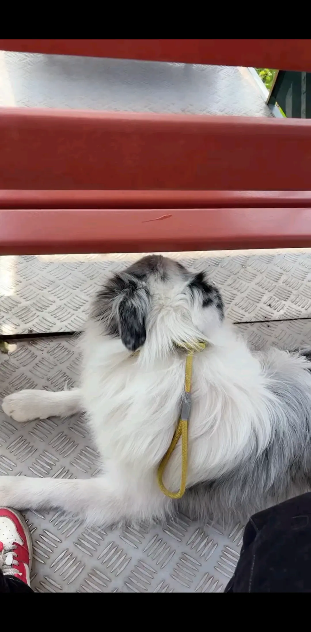 春天来了