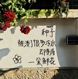 梓洛~的图片