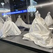 我叫二条
