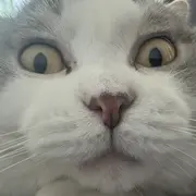 叫我靓仔呀