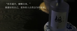 ❥小柒天天播↗的图片