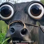 Taurus温瞳
