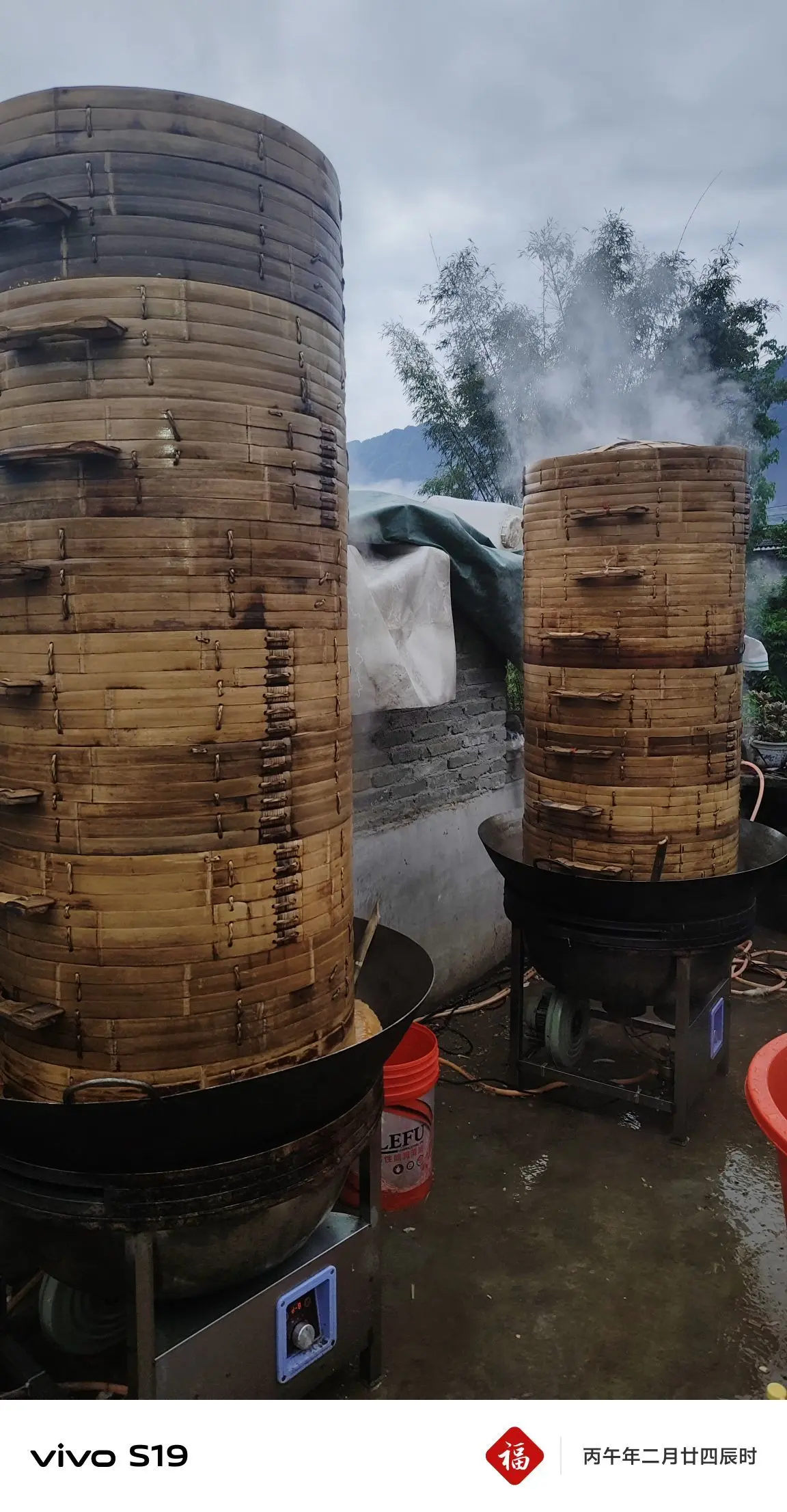 阿涛聊天茶馆！主播图片
