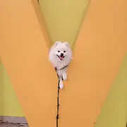 一念随风起