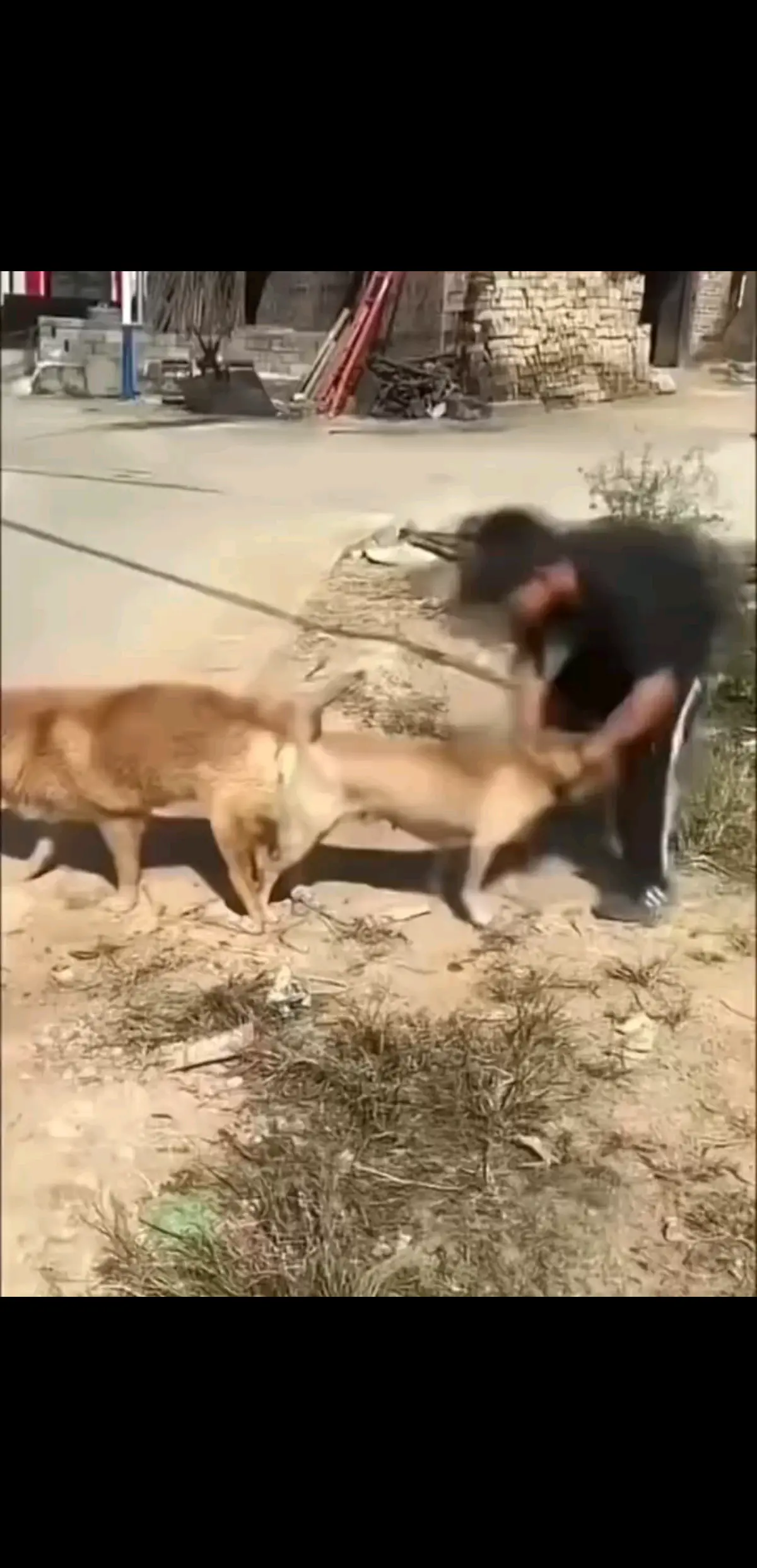 /狂笑盖世英雄