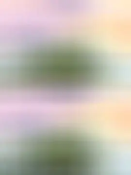 晴宝19号生日庆的主播照片