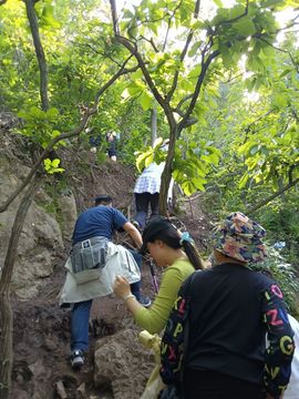第二次哥休的图片