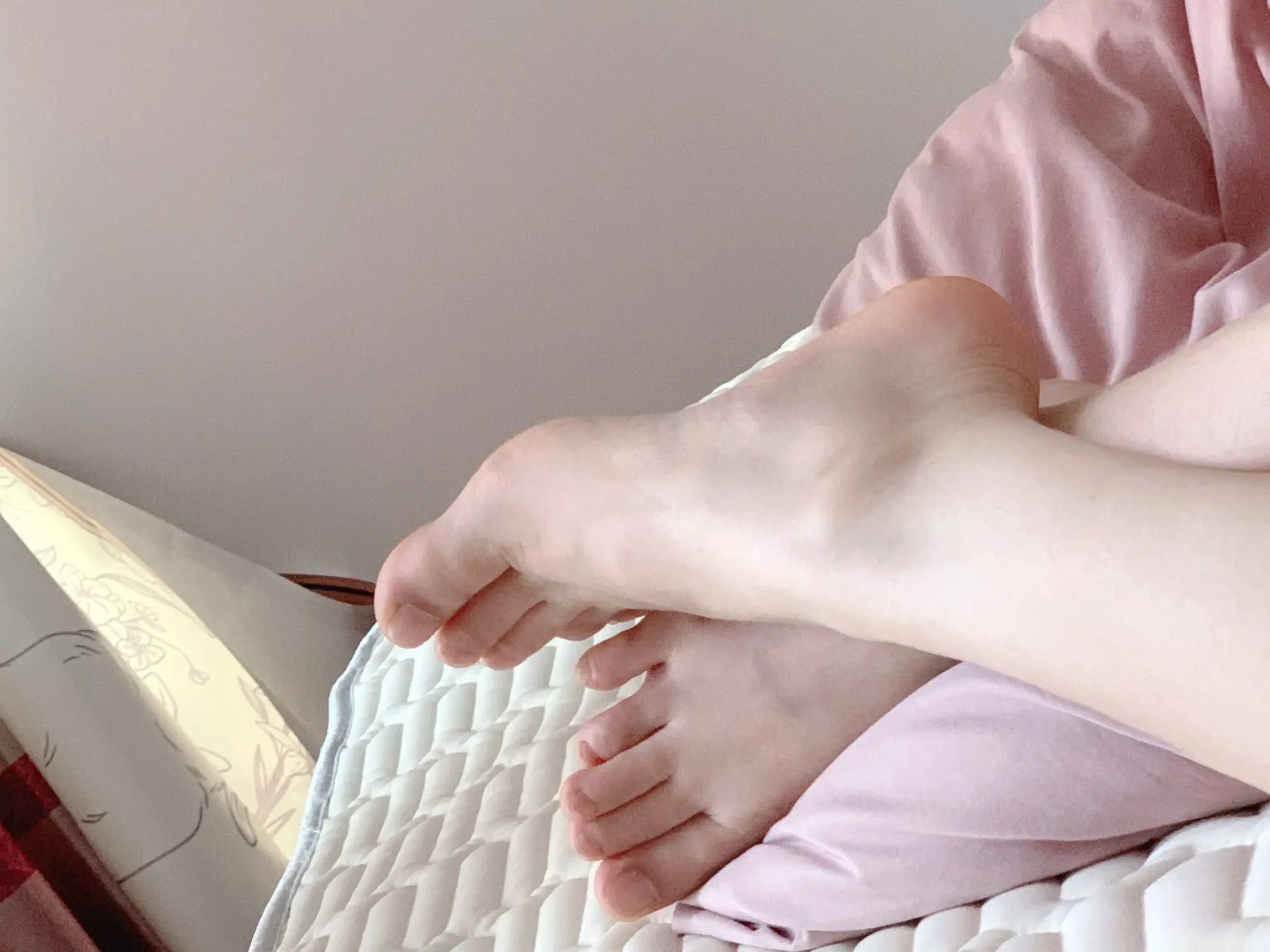 食肉小羊（休）的主播照片