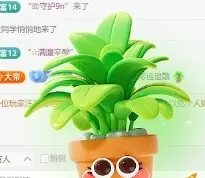 萌新白小糖主播图片