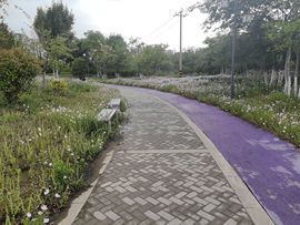 《天空》嘎嘎哎呀妈呀的图片