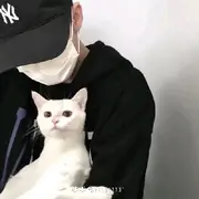 动感奥特曼