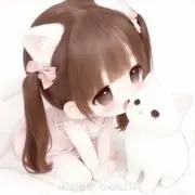 新人小乔