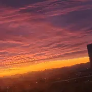 赛博黑客的用户头像