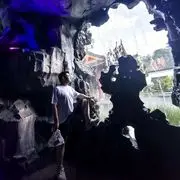 胖宝训练营