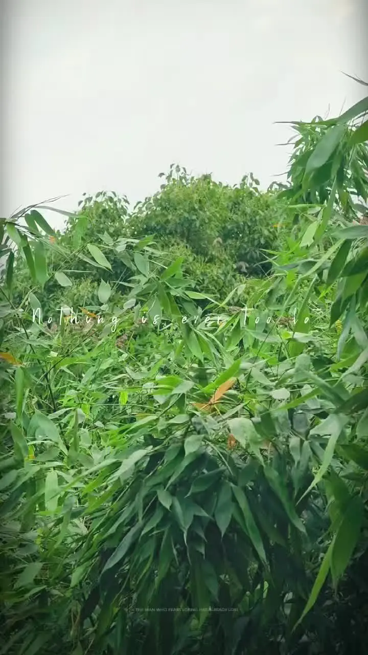 我是不是惊扰它们开大