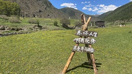 开朗！的图片