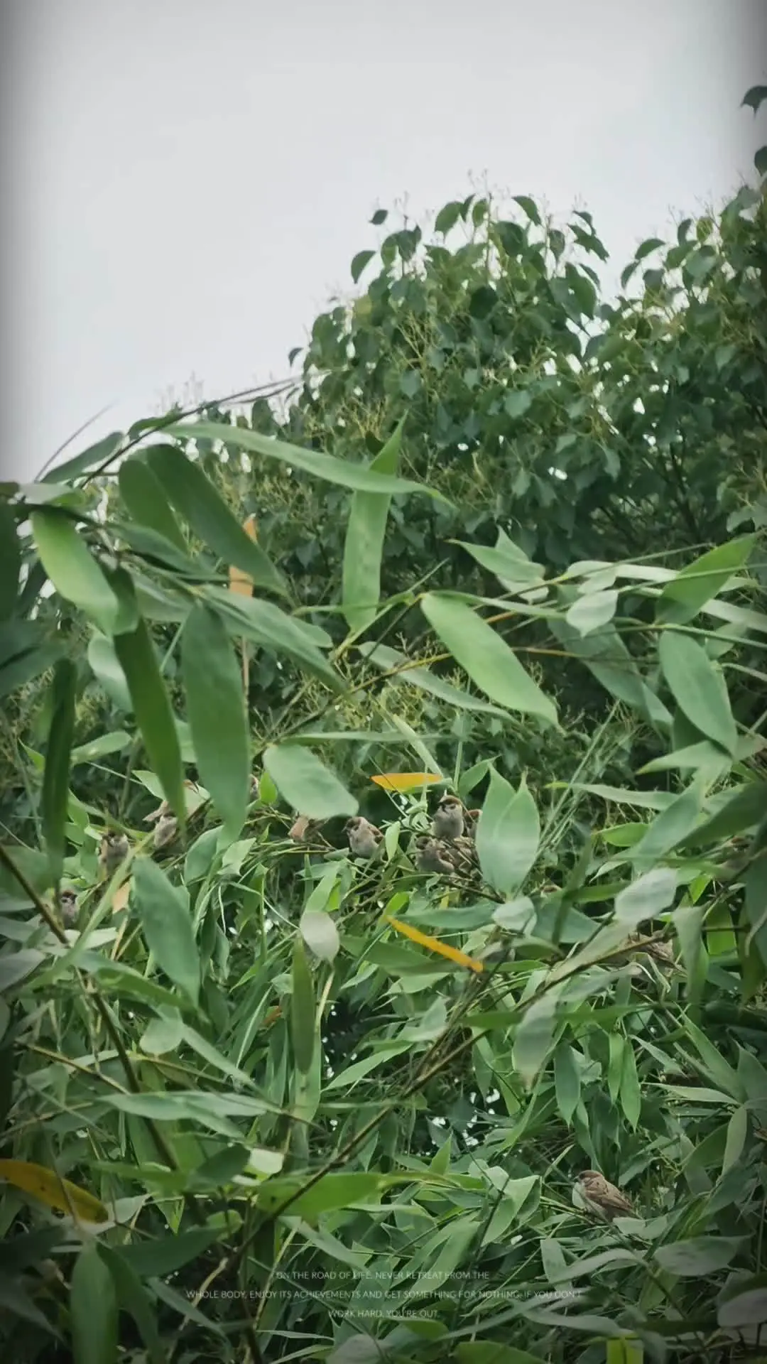 愿我们一切都好