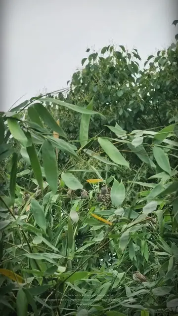 愿我们一切都好