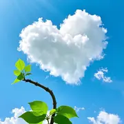 李婉🍀