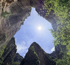 萌新碎碎念有点饿的图片
