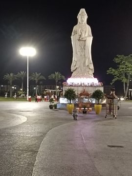 陆续陆续的图片