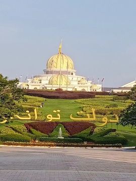 騷★年的图片