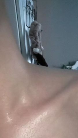 陌颜ib的图片