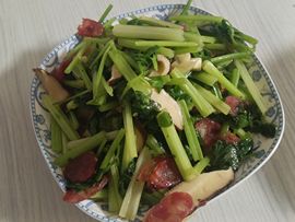 茶茶幸运星的图片