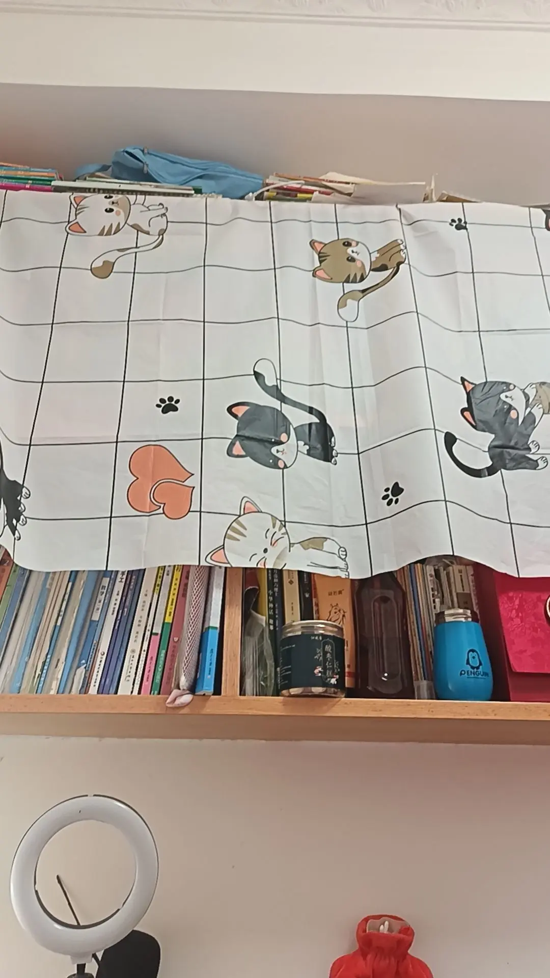 馨妍.🦄主播图片