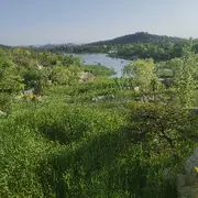 紫气东来💫