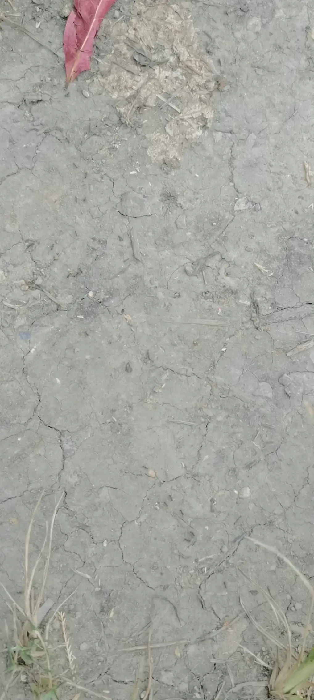 巴威要来了，沿海地区