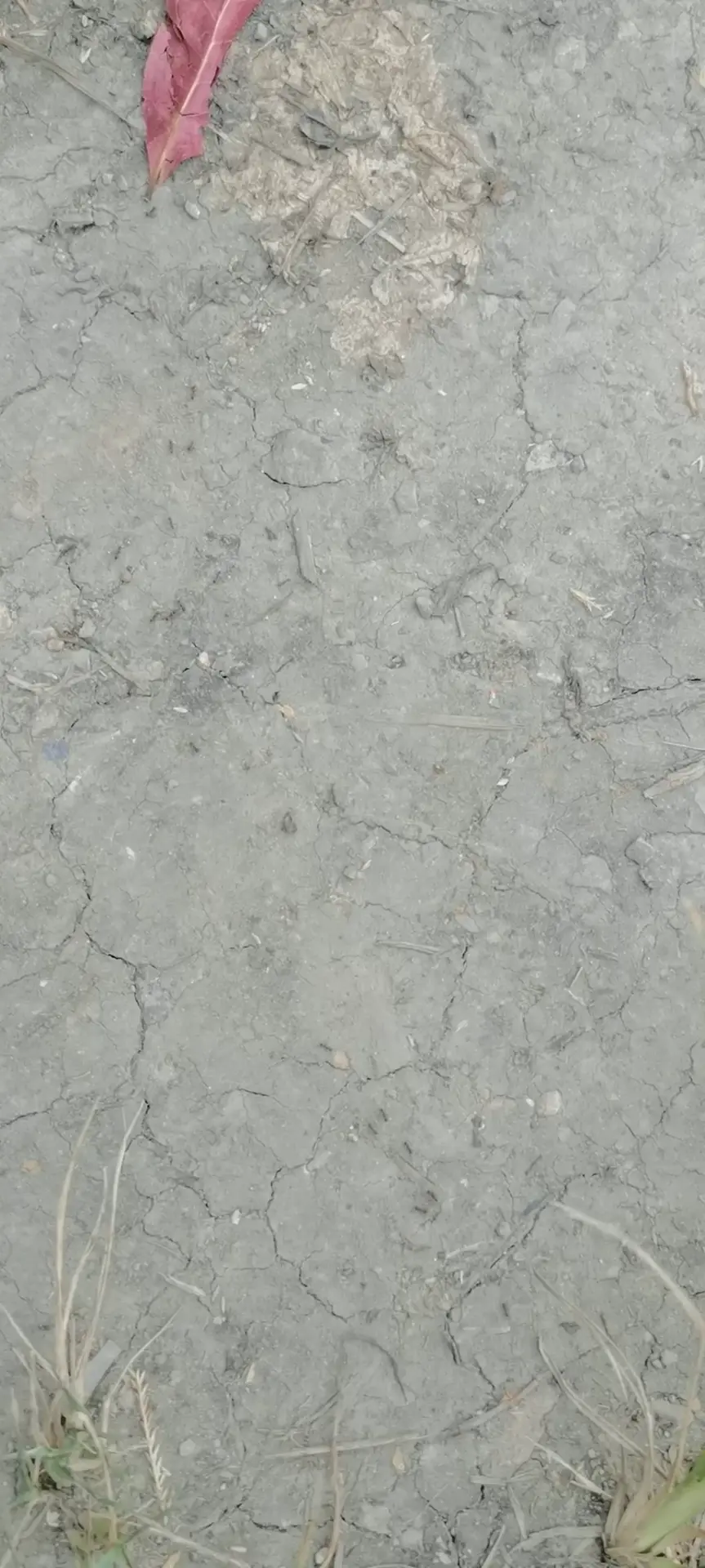 巴威要来了，沿海地区