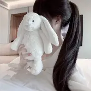 泡芙奈奈来啦